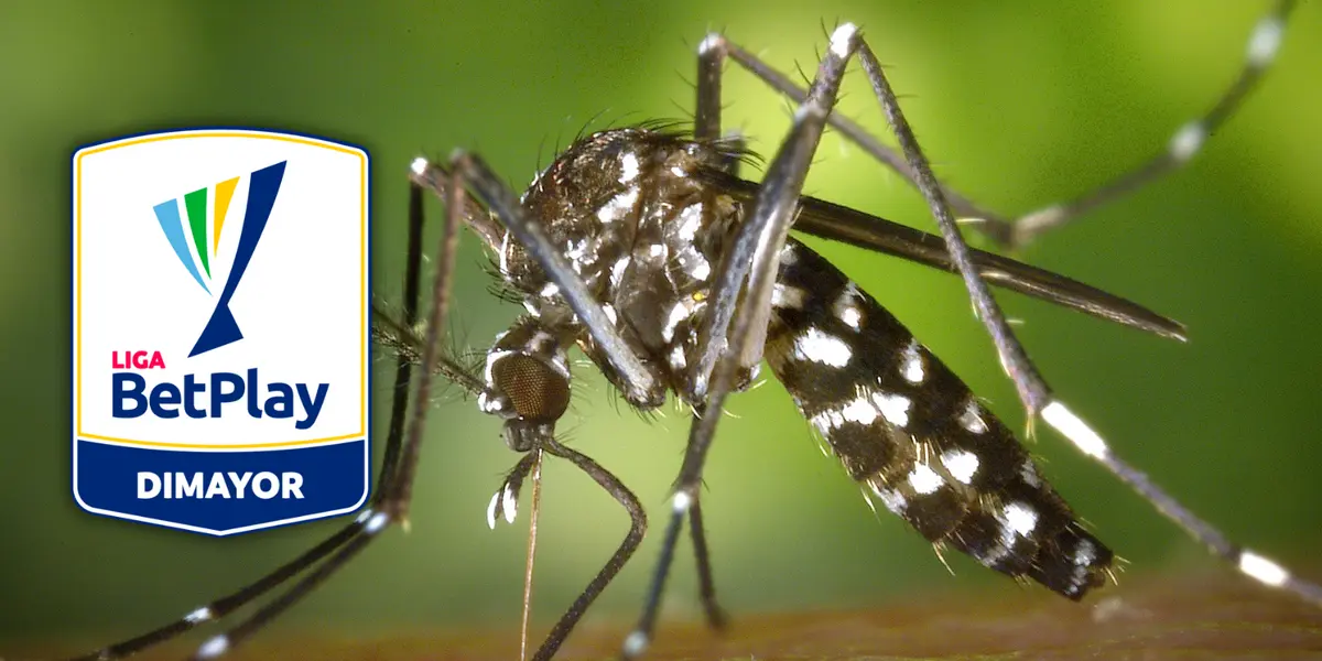 ¡Alerta! Liga Betplay: Vacuna obligatoria para hinchas en este estadio. Foto: Pexels y Escudoteca