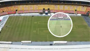 ¡Impecable! La grama de El Campín sorprende tras el show de Maluma Foto: Captura de Win Sports y IDRD