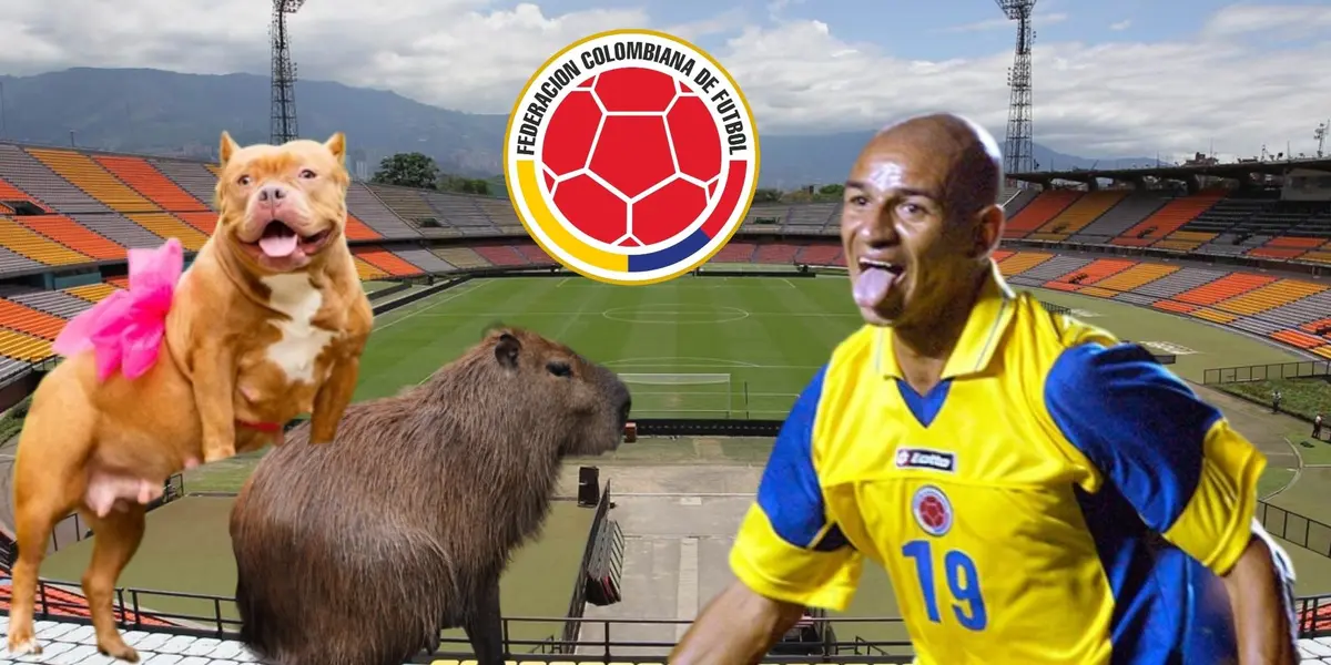 La cultura colombiana ha dejado una cantidad de sobrenombres que han generado admiración por la creatividad y por las historias que cuentan.