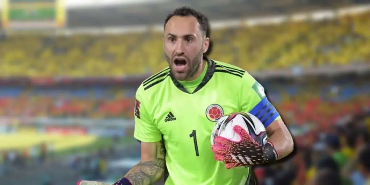 La selección se prepara para enfrentar la fecha FIFA rumbo al mundial.