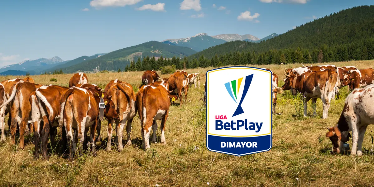 Pastizal Foto: Pexels y Escudoteca