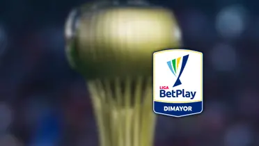 ¡Sorpresa total en el FPC! Se confirma el nuevo club que jugará en la A desde 2026 Foto: DIMAYOR y Escudoteca